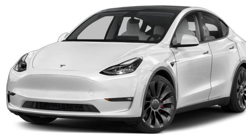 TESLA MODEL Y 2021 5YJYGDEE1MF228719 image